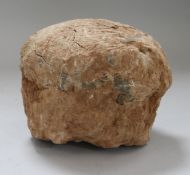 A fossilised sauropod dinosaur egg