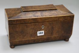 A Regency burr yew tea caddy