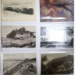 276 topographical postcards