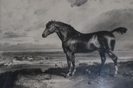Hullmandel after James WardmezzotintPortrait of the racehorse 'Monitor' 182538 x 48cm