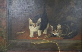 M. Attleeoil on canvasStudy of two kittenssigned11 x 17in.