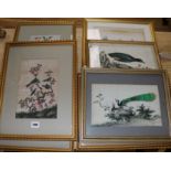 19th century Chinese School7 gouache on pith paperStudies of birds, flowers and figureslargest 10