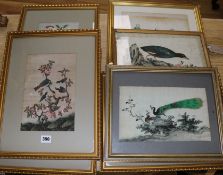 19th century Chinese School7 gouache on pith paperStudies of birds, flowers and figureslargest 10