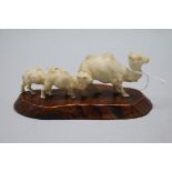 A Japanese carved ivory group of three camels