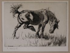 Edmund Blampiedetching"Tethered" 1914signed in pencil5 x 7in., unframed