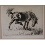 Edmund Blampiedetching"Tethered" 1914signed in pencil5 x 7in., unframed