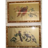 English Schoolpair of coloured printsStudies of Birds of Paradise 14 x 24in. and a similar fan