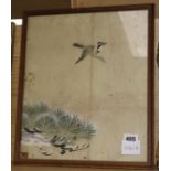 Chinese SchoolwatercolourSparrow flying beside a pine branch13.5 x 11in.