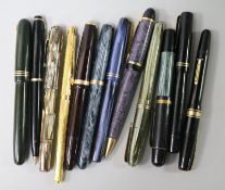 A collection of fountain pens