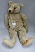 An Edwardian teddy bear