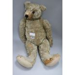 An Edwardian teddy bear