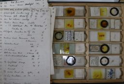 A collection of early 20th century medical slides