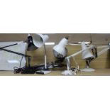 Five Anglepoise lamps, various, including two by Herbert Terry and one with clamp