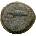 Iberia, Ilipense. Æ (30.08 g), 2nd century BC. Grain ear. Reverse: ILIΠENSE between two lines,