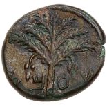 Judaea, Bar Kokhba Revolt. Æ Medium Bronze (11.01 g), 132-135 CE. Year 2 (133/4 CE). 'Sma' (