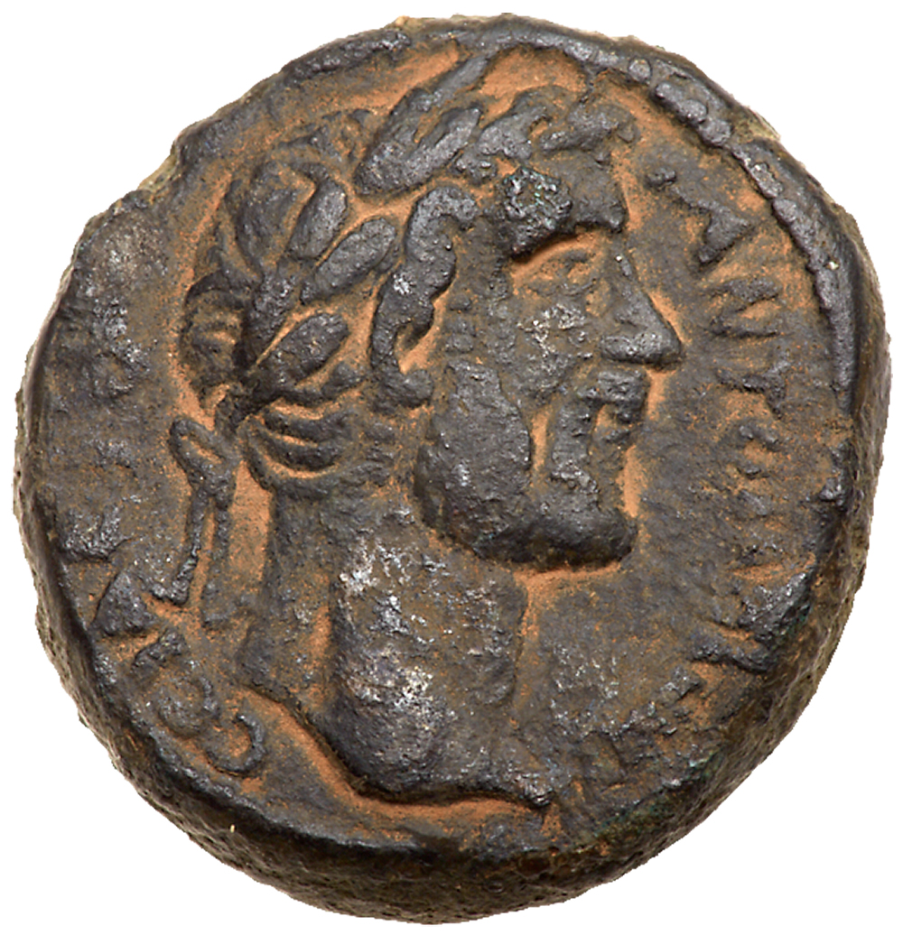 Ascalon in Judaea. Antoninus Pius. Æ 26 (19.31 g), AD 138-161. CY 260 (AD 118/9). ANTωNIN[OC]