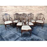 A SET OF EIGHT CONTEMPORARY DINING CHAIRS the shield shaped backrests with pierced splats and