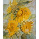 MARJORY MUGGLETON (BRITISH, B.1922) Sunflowers, oil on board, signed lower right, 76cm x 61cm,