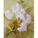 MARJORY MUGGLETON (BRITISH, B.1922) Rhododendron, oil on board, signed lower right, 75cm x 59.5cm.