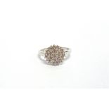 A 9 CARAT WHITE GOLD NINETEEN STONE DIAMOND CLUSTER RING the centre of seven brilliant cut