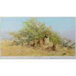 DAVID SHEPHERD (BRITISH, B.1931) 'Cheetah Family - In the Serengeti', colour print, published by