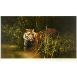 DAVID SHEPHERD (BRITISH, B.1931) 'Into the Sunlight, There Came a Tiger', colour print, published by