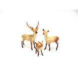 A BESWICK STAG, DOE AND FAWN the stag 19.5cm high