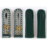 POLIZEI CUSTOMS - ZOLLASSISTENT'S SHOULDER BOARDS (SCHULTERSTUCKE) slip-on type with dual silver