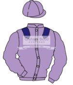 The British Horseracing Authority Sale of Racing Colours: MAUVE,