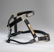 The halter worn by the 2003 Kentucky Derby and Preakness Stakes winner "Funny Cide" in his