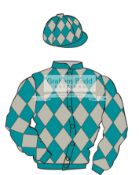 The British Horseracing Authority Sale of Racing Colours: TURQUOISE and SILVER diamonds