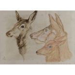 Deer from Landseer. 10 x 15.5 ins., Lithograph.