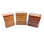 A group of three specimen cabinets. Comp