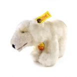 A Steiff polar bear, circa 1981. Model number: 1447/17.