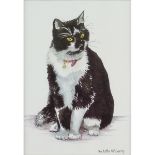 McCourty Contemporary British, Cat. 7 x 4,75 ins., (18 x 12 cms.), Print.