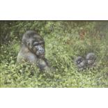 Wilkinson, David b1937 British. A Pair:Gorilla Family. 10 x 16 ins., (25.5 x 40.5 cms.