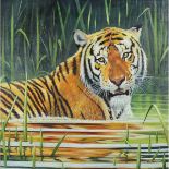 Ayling, David Contemporary British AR, Tiger. 24 x 24 ins., (61 x 61 cms.). Oil on Canvas, Signed.