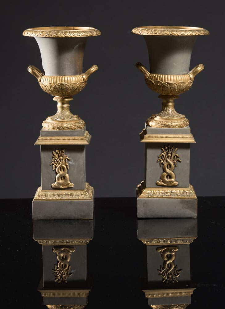 Pair of Medici vases on bronze column, late 19th Century - early 20th Century.