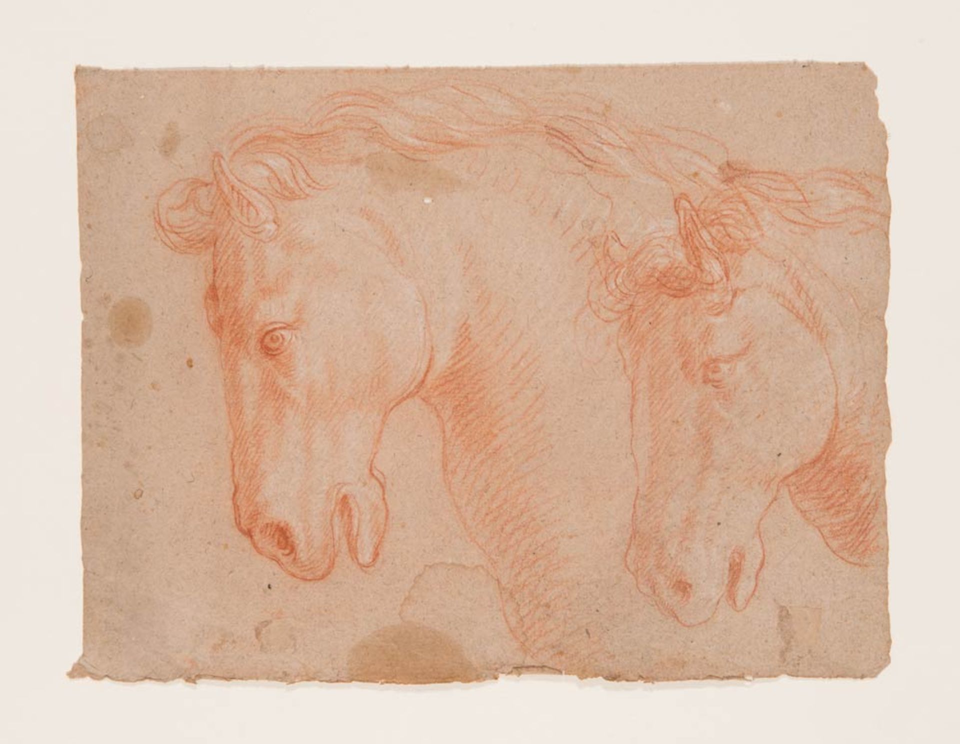 18th Century Follower of Ercole Graziani, "Studio di mani e volto" and "Teste di cavallo". - Image 2 of 2