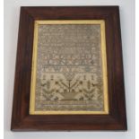 A George III alphabet sampler by Janet Johnston, 1802, 32 x 22cm, in rosewood frame