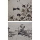 •KATHERINE CAMERON RSW, RE (Scottish 1874 - 1965) ROSE BURNET Etching, signed, 15 x 18cm (6 x 7")