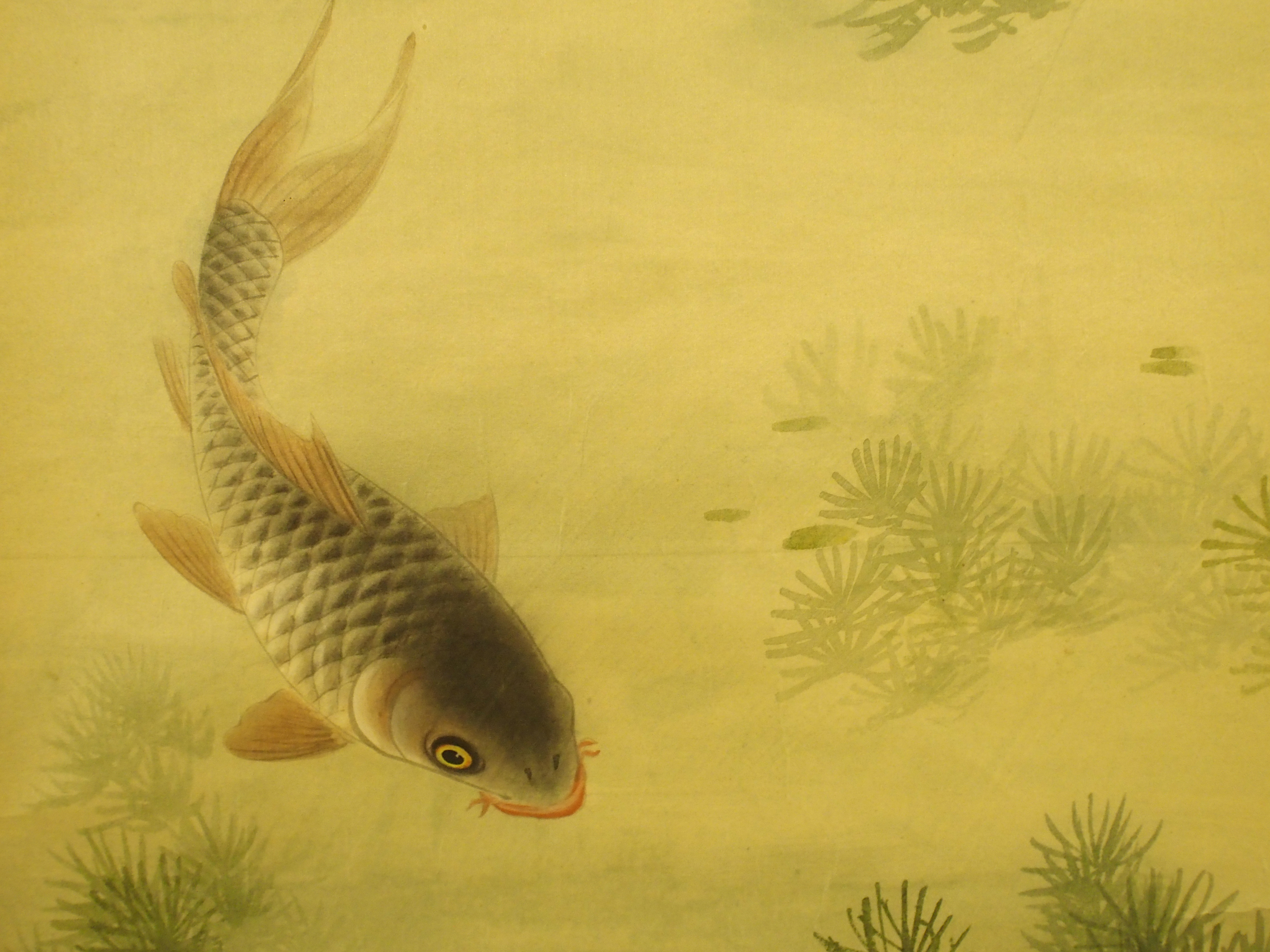 A Chinese silk scroll painting of three carp amongst aquatic foliage, signed, 92 x 40cm - Bild 5 aus 8