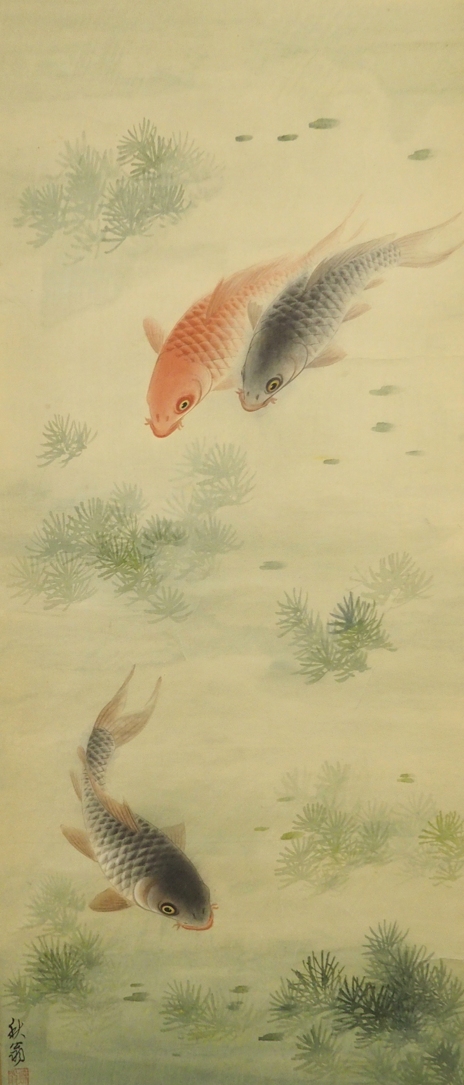 A Chinese silk scroll painting of three carp amongst aquatic foliage, signed, 92 x 40cm