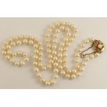 A long string of pearls with a yellow metal pearl and red gem set clasp approx 84cm long, pearls are