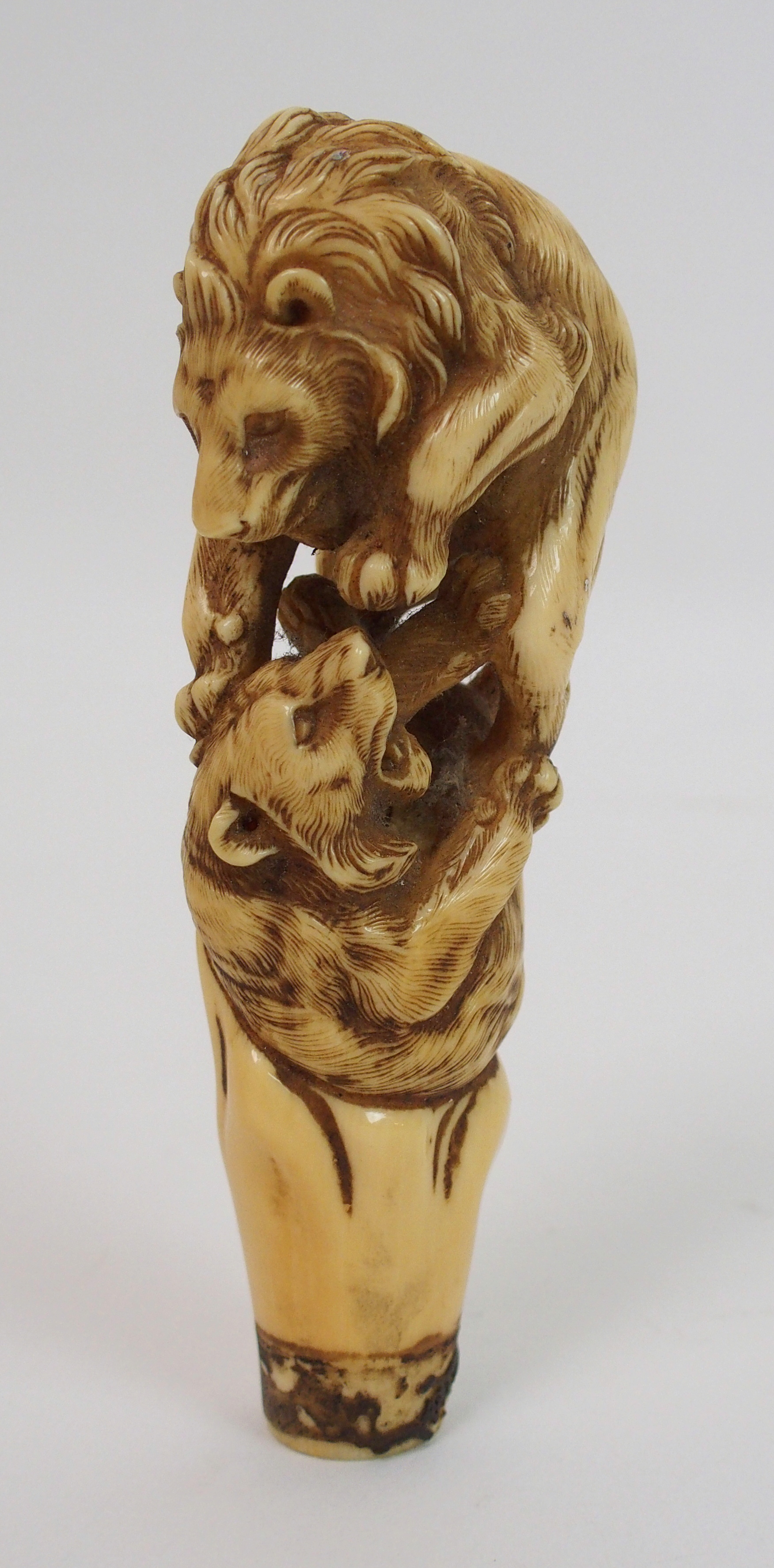 A Japanese carved ivory cane handle decorated with a lion attacking a tiger, signed, 12cm long