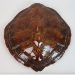 An antique marine turtle shell some areas of damage to shell, 46 x 45cm (18 x 17 3/4") A CITES