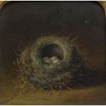 ABEL HOLD (British 1815 - 1891) BIRD'S NEST WITH EGGS IN A CLEARING Oil on canvas, signed, 25.5 x