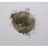 •ELSPETH HARRIGAN (Scottish 1938 - 1999) THE UNFORTUNATE BLACKBIRD'S NEST Watercolour, signed, 38