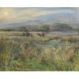 •ANTHONY ARMSTRONG (Scottish b. 1935) LONG GRASSES, EARLY WINTER, LOCH LOMOND Pastel, signed, 44 x