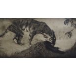 WARWICK REYNOLDS RSW (British 1880 - 1926) TIGER WITH PEACOCK Drypoint etching, signed, 24 x 45.